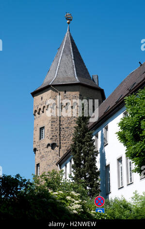 Burg Linz Schloss, Linz am Rhein, Rheinland-Pfalz Stockfoto