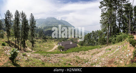 Die spektakuläre Aussicht vom Thuruliya Coffee Shop in der Nähe von Nuwara Eliya, Sri Lanka A5 unterwegs nach Kandy. Stockfoto