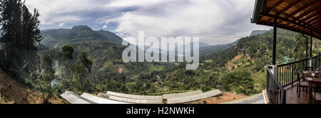 Die spektakuläre Aussicht vom Thuruliya Coffee Shop in der Nähe von Nuwara Eliya, Sri Lanka A5 unterwegs nach Kandy. Stockfoto