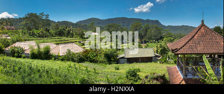 Indonesien, Bali, Sidemen, Banjar Tabola, Panoramablick über Reisfelder von Saman Vaya hotel Stockfoto