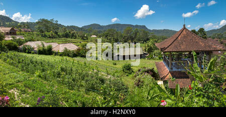 Indonesien, Bali, Sidemen, Banjar, Tabola, Panoramablick über Reisfelder von Saman Vaya hotel Stockfoto