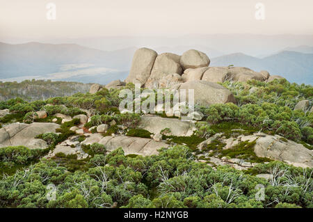 Die Felsformation des Mahomets Grabes im Mount Buffalo National Park. Stockfoto