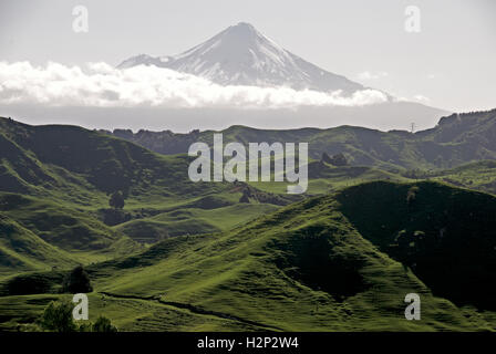 Eine trübe Detailansicht des Mount Taranaki von Forgotten Highway. Stockfoto