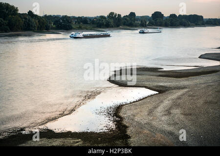 Rhein bei niedrigem Wasserstand in der Nähe von Düsseldorf und Meerbusch Stockfoto