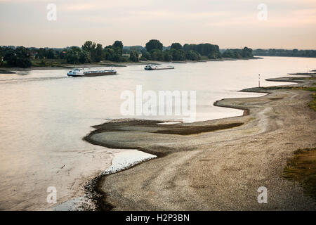 Rhein bei niedrigem Wasserstand in der Nähe von Düsseldorf und Meerbusch Stockfoto