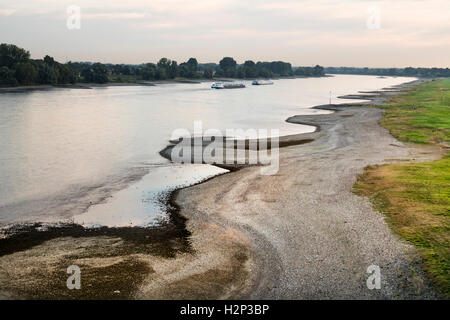 Rhein bei niedrigem Wasserstand in der Nähe von Düsseldorf und Meerbusch Stockfoto