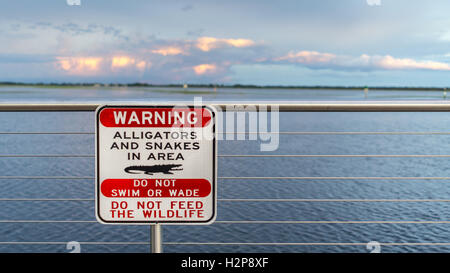 Alligator Warnschild in Florida für das Bewusstsein der drohenden Gefahr. Scharf, isoliert, um für dramatische Auswirkungen zu unterzeichnen. Stockfoto