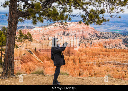 Unter einer Kiefer fotografiert Frau Besucher natürlichen Schönheit der Bryce Canyon im Bundesstaat Utah USA Stockfoto