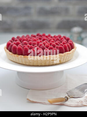 Himbeer-Torte auf einem weißen Teller selektiven Fokus Stockfoto