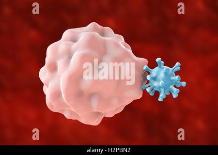 Computer Bild der Phagozytose-ähnliche Aufnahme eines Virus von einer Wirtszelle; die erste Stufe der viralen Infektion der Wirtszelle. Diese Art von viralen Eintrag ist charakteristisch für einige Viren, wie Herpes-Simplex-Virus, die sowohl professionelle infizieren können Stockfoto