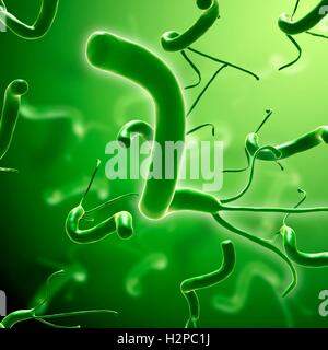 Illustration von Helicobacter-Pylori-Bakterien. Stockfoto