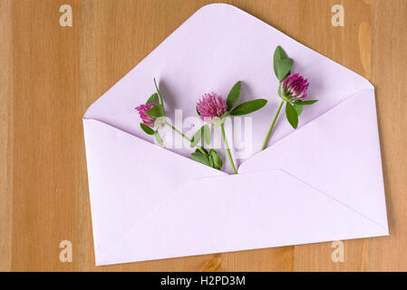 Wilde Wiesenblumen mit offenen Papier Hüllen auf hölzernen Hintergrund. Flach zu legen. Ansicht von oben. Stockfoto