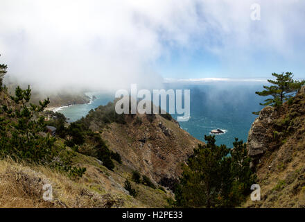Steilküste bei den Muir Blick auf Strand in der Nähe von San Francisco, Kalifornien, USA. Stockfoto