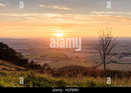 Die Wrekin, Telford, Shropshire, einsamer Baum bei Sonnenuntergang Dämmerung, England, Großbritannien Stockfoto