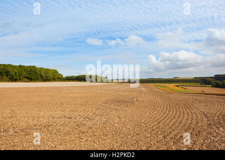 Muster und Texturen der Wolken über kultivierten Ackerland eine herbstliche Landschaft der Yorkshire Wolds... Stockfoto