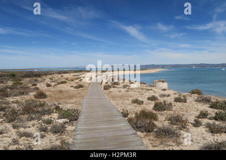 Ilha Deserta im Nationalpark Ria Formosa südlich von Faro, Portugal Stockfoto