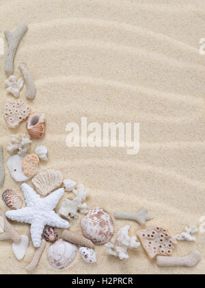 Starfish,corals and seashells on the sand Stockfoto