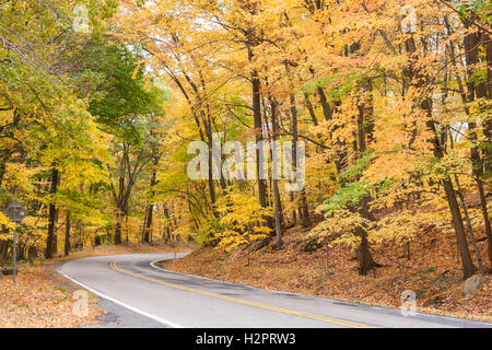 Herbstlaub und eine kurvenreiche Straße durch bewaldetes Gebiet. Stockfoto