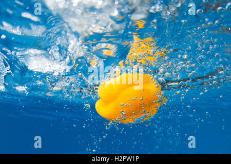 Paprika im blauen Wasser plantschen Stockfoto