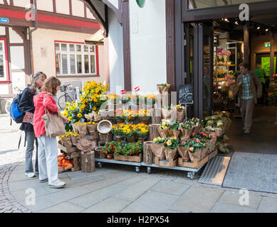 WERNIGERODE, Deutschland, SEPTEMBER 21,2016: nicht identifizierte Personen im Blumenladen kaufen Blumen am 21. September 2016, das Dorf war o Stockfoto