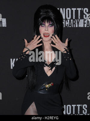 Buena Park, Kalifornien, USA. 30. September 2016. 30. September 2016 - Buena Park, Kalifornien. Elvira. Knotts Scary Farm Black Carpet Party statt auf Knotts Berry Farm. Bildnachweis: Birdie Thompson/AdMedia Credit: Birdie Thompson/AdMedia/ZUMA Draht/Alamy Live-Nachrichten Stockfoto