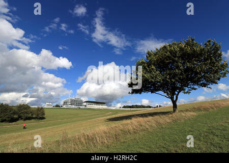 Epsom Downs, Surrey, UK. 1. Oktober 2016. Flffy Cumuluswolken über Epsom Downs Racecourse, auf einem regnerisch Tag in Surrey. Bildnachweis: Julia Gavin UK/Alamy Live-Nachrichten Stockfoto