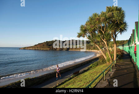 Swansea, Großbritannien. 2. Oktober 2016. UK-Wetter: Ein am frühen Morgen Jogger macht das Beste aus der atemberaubenden Herbstsonne am Strand von Langland Bucht in der Nähe von Swansea heute Morgen. Bildnachweis: Phil Rees/Alamy Live-Nachrichten Stockfoto