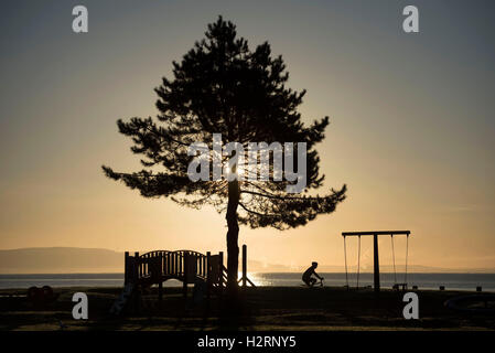 Swansea, Großbritannien. 2. Oktober 2016. UK-Wetter: Ein einsamer Radfahrer macht seinen Weg vorbei an den Kinderspielplatz am Strand von Blackpill in der Nähe von Swansea heute Morgen kurz nach Sonnenaufgang. Bildnachweis: Phil Rees/Alamy Live-Nachrichten Stockfoto