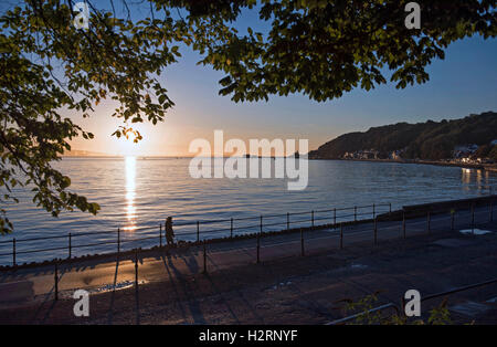 Swansea, Großbritannien. 2. Oktober 2016. UK-Wetter: Eine Frau nimmt ihren Hund für einen Morgenspaziergang auf eine atemberaubende Herbstmorgen am Strand von Mumbles in der Nähe von Swansea heute Morgen. Bildnachweis: Phil Rees/Alamy Live-Nachrichten Stockfoto