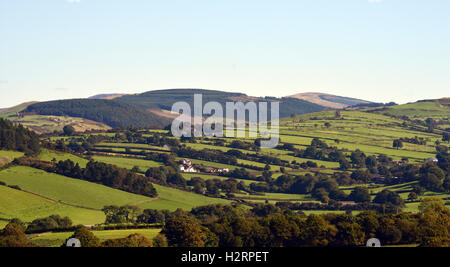 In der Nähe von Aberystwyth, Wales, UK. 2. Oktober 2016. UK-Wetter - nach über Nacht Regen, hellen Oktober Sonnenlicht scheint auf der Cambrian Mountains of Wales in der Nähe von Aberystwyth - John Gilbey/Alamy Live News Stockfoto