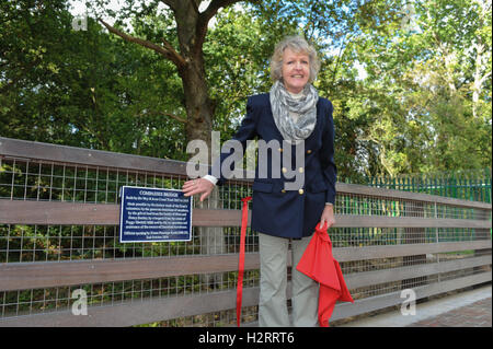 Schauspieler Dame Penelope Keith enthüllt eine Gedenktafel im Namen der Wey & Arun Canal Vertrauen bei der offiziellen Eröffnung der Kompasse Brücke auf Gipfelebene in Alfold, Surrey, England. Die neue Brücke wurde anlässlich des 200. Jahrestages des Wey & Arun-Kanal im Oktober 2016 eröffnet. Stockfoto