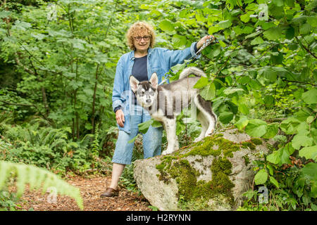 Dashiell, ein drei Monate altes Alaskan Malamute Welpen auf einem Felsen im Park, in Issaquah, Washington, USA Stockfoto