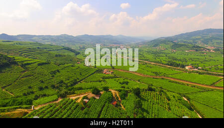 Blick auf die Weinberge auf den italienischen Bergen. Stockfoto