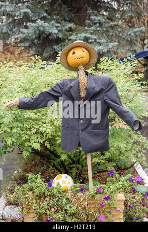 Vogelscheuche in Anzug und Kürbis Kopf für Halloween. Stockfoto