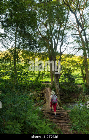 Touristen gehen Aberfoyle Teeplantage Simbabwe Stockfoto