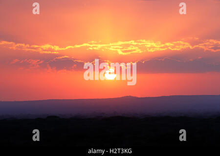Sunrise, Tarangire Nationalpark, Tansania Stockfoto