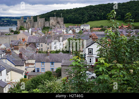 Conwy mittelalterliche Burgtürme gesehen von der Stadtmauer, Conwy, North Wales, UK Stockfoto