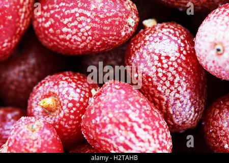 Goji-Beeren gefroren Hintergrund Nahaufnahme Makro phoro Stockfoto