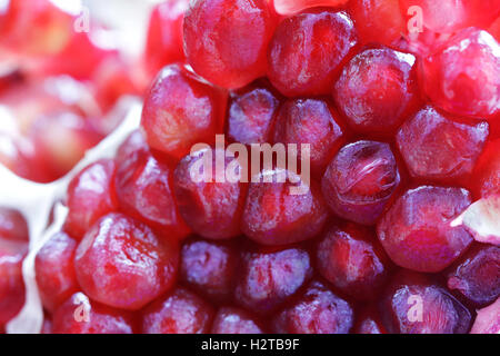 Rote Granatapfel schöne Nahaufnahme Makro-Foto Stockfoto