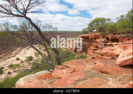 Roter Sandstein bluff Rand mit Blick auf die trockenen Murchison River Gorge im Kalbarri Nationalpark in Western Australia. Stockfoto