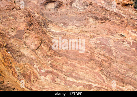 Rote und weiße Tumblagooda Sandstein Felsen Closeup im Kalbarri National Park in Kalbarri, Western Australia gebändert. Stockfoto