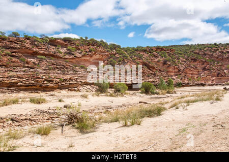 Trockenen Murchison River Schlucht mit Sand, Sandstein-Klippen und Pflanzen im Kalbarri National Park in Kalbarri, Western Australia Stockfoto