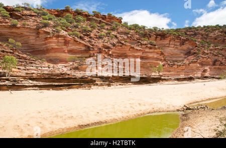 Ausgetrocknet, Murchison River Schlucht umgeben von Sandstein-Klippe unter blauem Himmel im Kalbarri Nationalpark in Western Australia Stockfoto