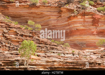 Rote und weiße Tumblagooda Sandstein Bluff in der Murchison River Gorge im Kalbarri National Park in Westaustralien gebändert Stockfoto