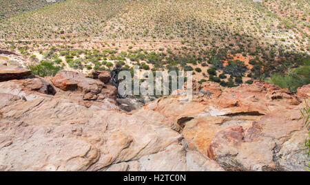 Erhöhten Blick auf rotem Sandstein Bluff bei Ross Graham Lookout im Kalbarri National Park in Kalbarri, Western Australia Stockfoto