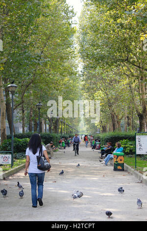 Parkway in Mailand, Italien Stockfoto