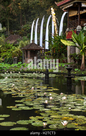 Indonesien, Bali, Tirta Gangga, Ababi, Wasserpalast, Seerosenteich und Pavillon Stockfoto