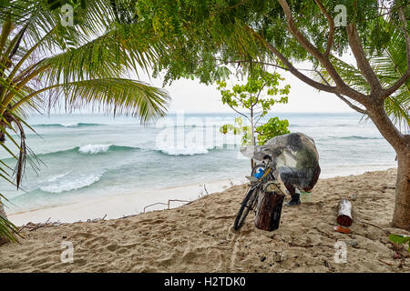 Barbados Fischer enthäuten Fahrrad Hastings beach Hotel Savannah einheimischen Fischer arbeiten unter Tar Schlackenlinie Blatt Zyklus Fisch Sand Stockfoto