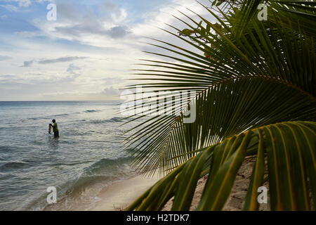 Barbados Fischer enthäuten Motorrad, das Hastings Strand Hotel Savannah einheimischen Fischer arbeiten Fisch Sand Bäume net Palmblätter hand ich Stockfoto