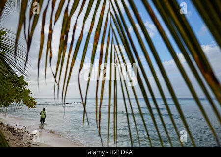 Barbados Fischer enthäuten Motorrad, das Hastings Strand Hotel Savannah einheimischen Fischer arbeiten Fisch Sand Bäume net Palmblätter hand ich Stockfoto